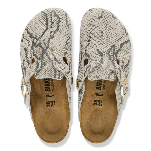 Boston Snake Oyster